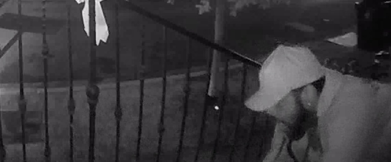 Porch Pirate – 12/9/24